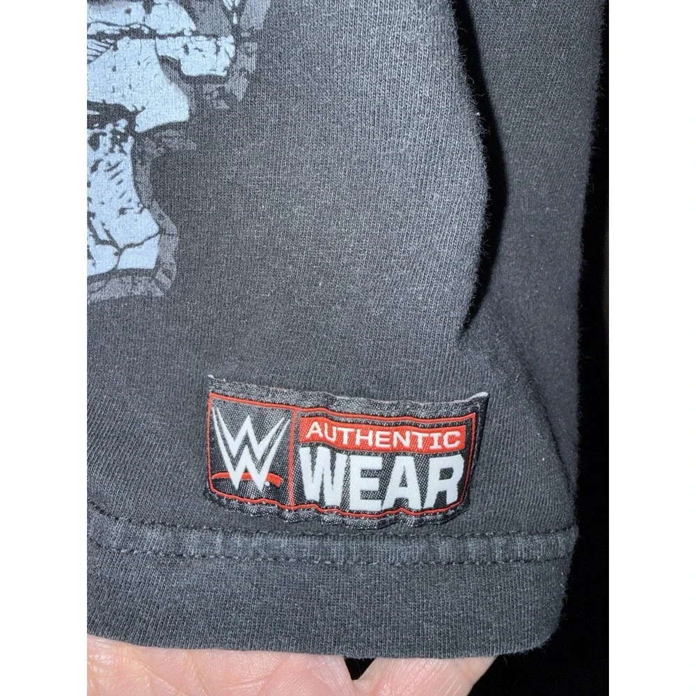 WWE roman reigns